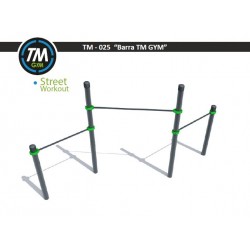 TM0025 - street workout